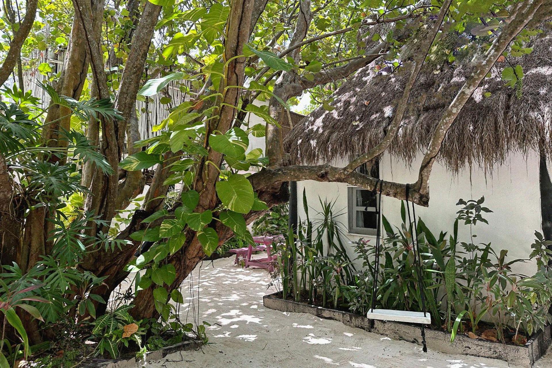 Coco Tulum Hotel Exteriör bild